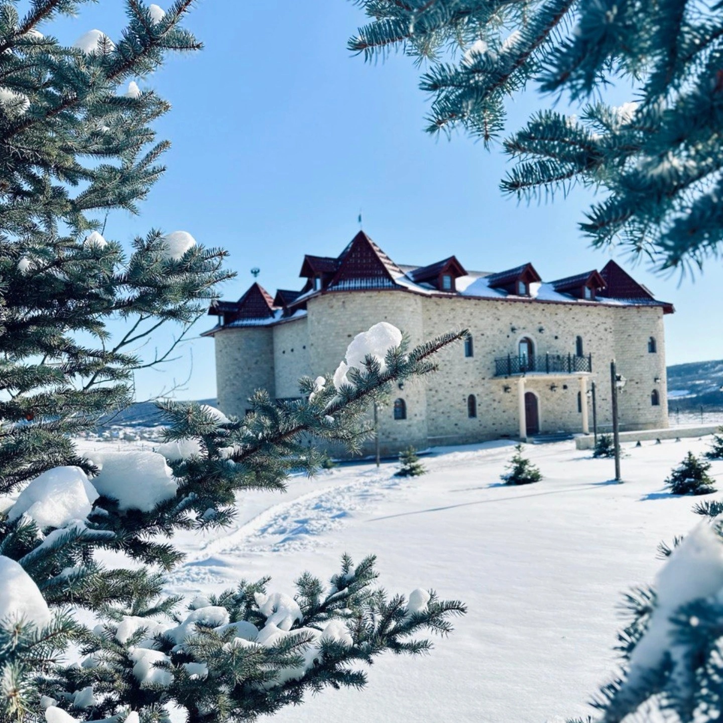 Unghern Castle Gallery 8